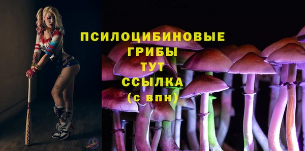 гашиш Арсеньев