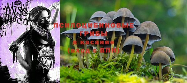 a pvp Аркадак