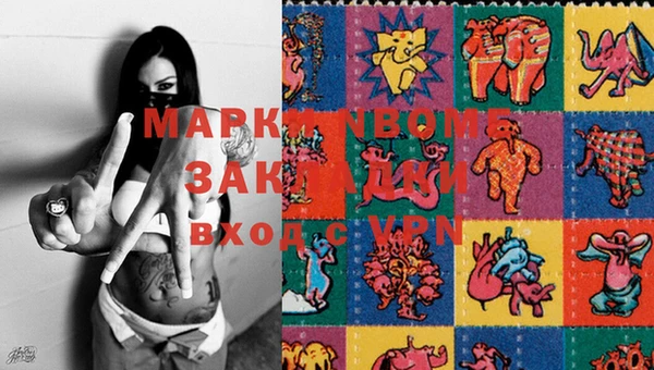 прущие грибы Ельня
