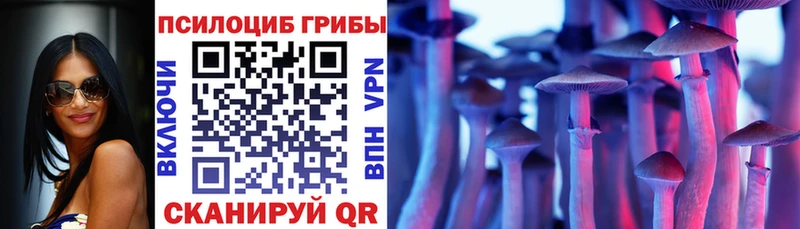 Псилоцибиновые грибы Psilocybine cubensis  Чудово 